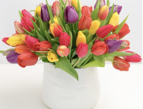 Welcome the Season with Spring Flowers For Curbside Pickup or Non-Contact Delivery