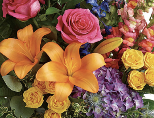 Our Floral Deal of the Day