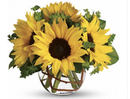 Gorgeous Arizona Sunflower Designs