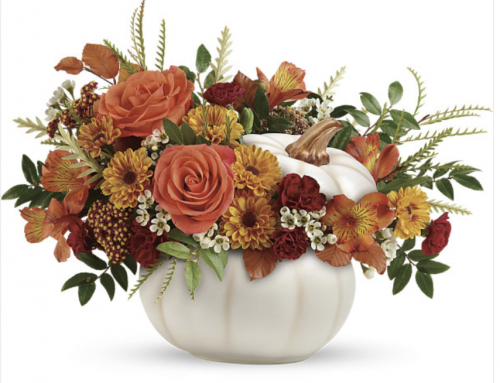 Mayfield Florist is Ready for Fall Fun, Fall Festivities, and Fall Flowers