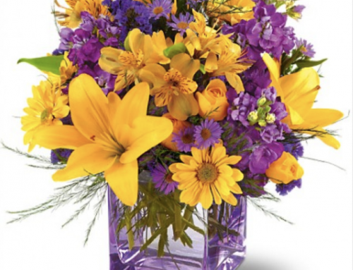 Celebrate March Birthdays with Mayfield’s Sensational Floral Designs