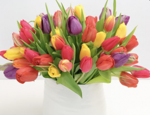 Celebrate Easter or Passover with Spring Flowers From Mayfield