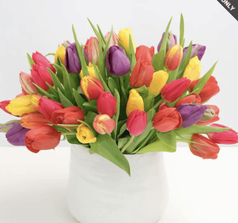 Celebrate Easter or Passover with Spring Flowers From Mayfield