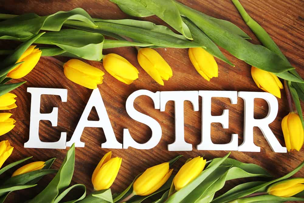 Visit Mayfield Florist to find the Most Elegant Easter and Passover Flowers