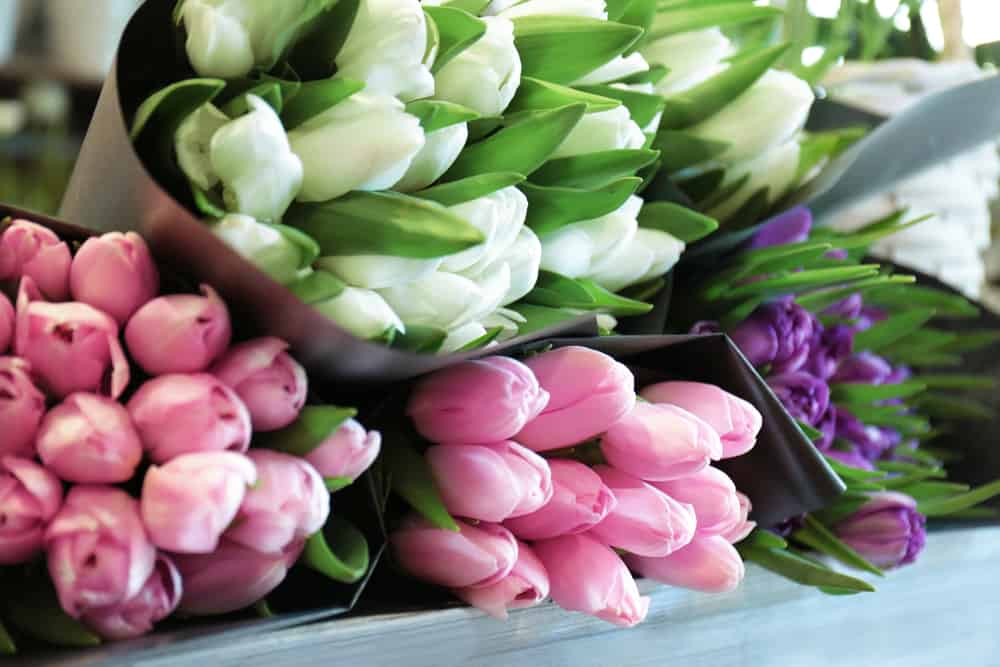 Shop for Fresh and Beautiful Easter and Spring Flowers at Mayfield Florist