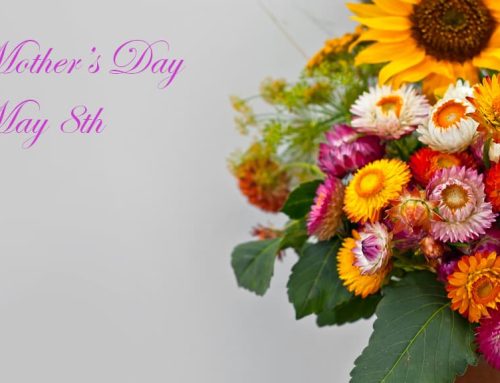We Invite You to Shop with Mayfield Florist for the Very Best Mother’s Day Floral Products in Tucson