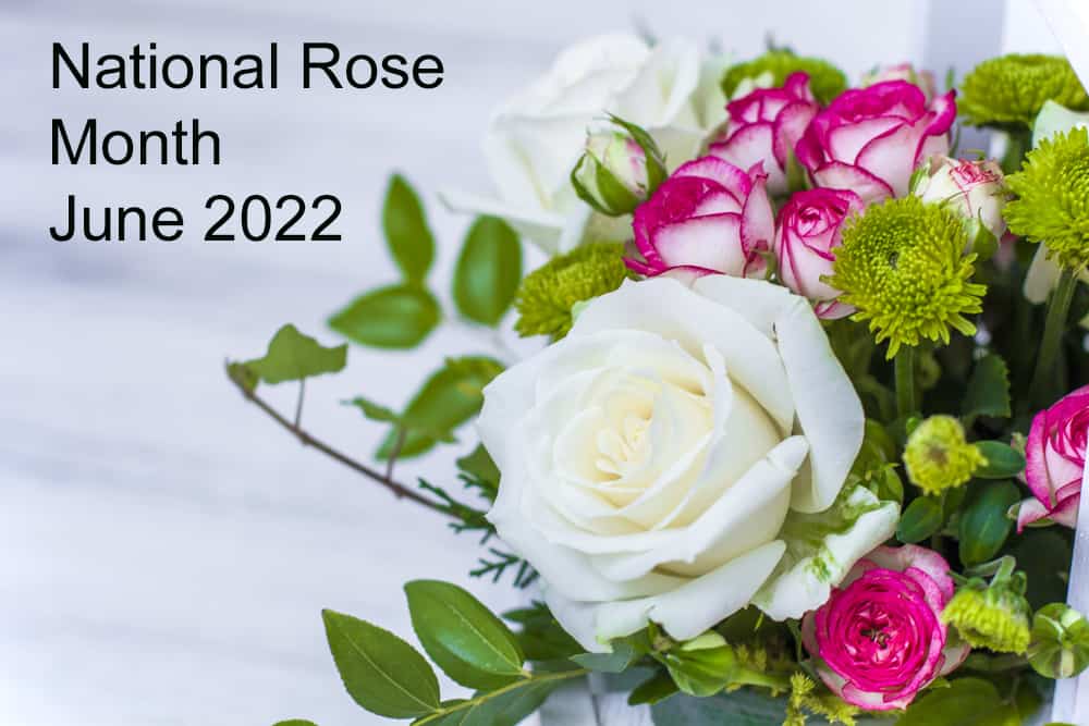 Shop with Mayfield Florist for National Rose Month