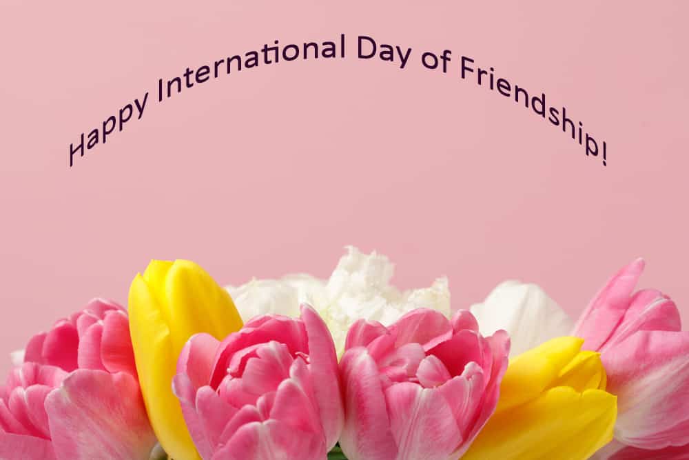 On International Day of Friendship, Make New Friends with Flowers from Mayfield Florist