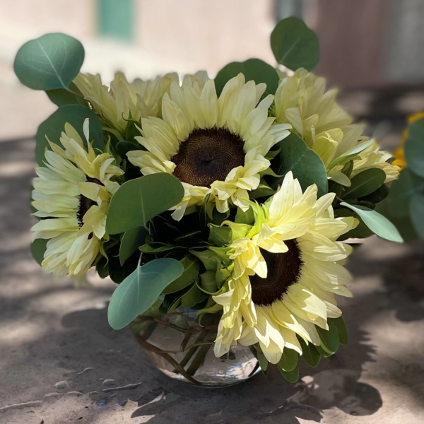 Mayfield Florist Provides Same Day Delivery to Tucson Medical Center