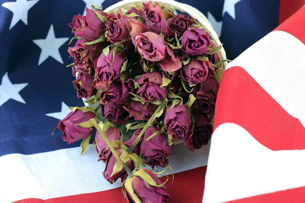 Mayfield Florist Provides Catalina Foothills AZ with Same Day Delivery of Floral Products to Honor Veterans Day