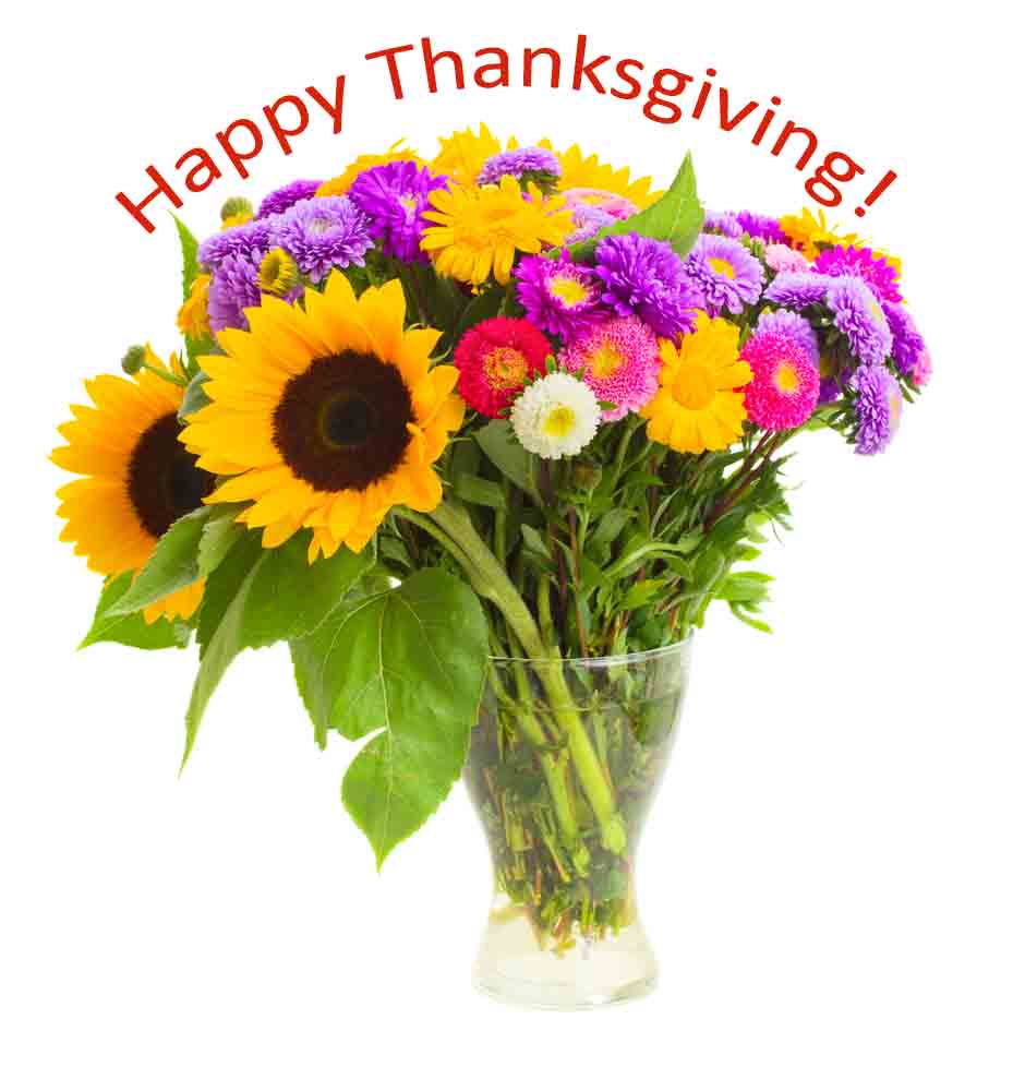 Dress up Thanksgiving in Drexel Heights, Arizona with Gorgeous Same Day Delivery Flowers from Mayfield Florist