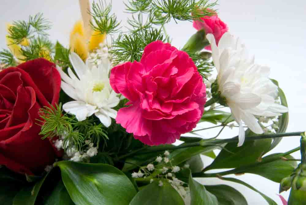 Mayfield Florist Serves Marana, Arizona with Beautiful Same Day Delivery Holiday and all Occasion Flowers
