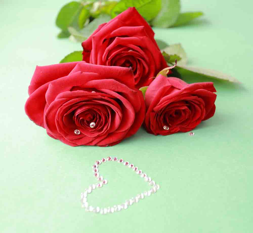 Mayfield Florist Offers the Best Valentine’s Day Roses in Tucson. (Valuable Multi-Purpose Discount Coupons Below)