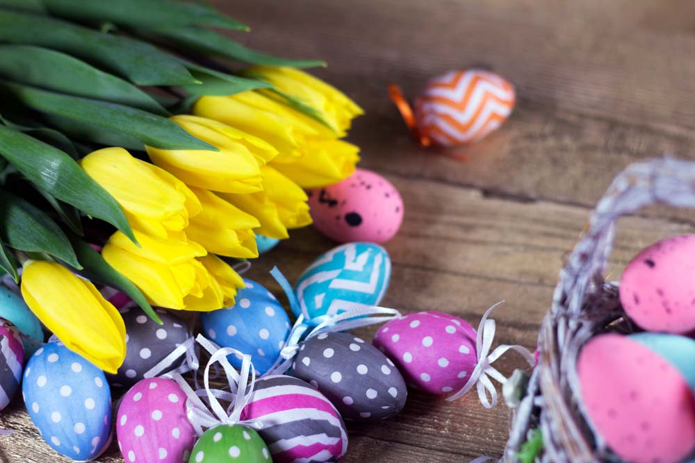 Discover Our Beautiful Easter Flowers and Plants. (Special Discount Codes Below)
