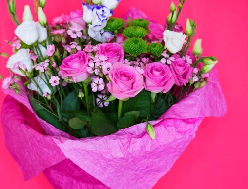 Shop Conveniently Online for Our Fresh Graduation Congratulations Flowers. Apply Discounts Below for Big Savings!