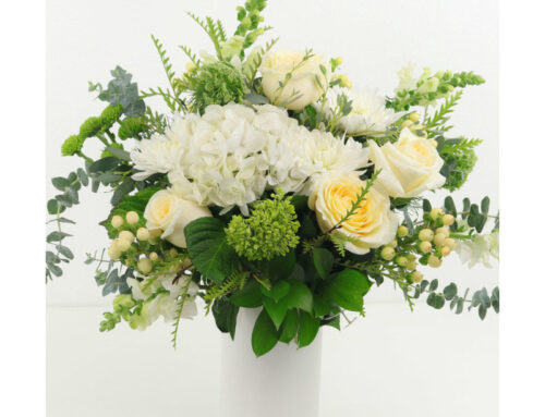 Apply Valuable Discounts Below for Purchases of May Birthday Flowers and Other Occasions