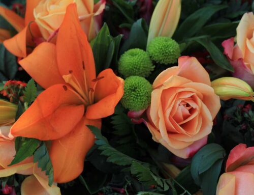 Brighten Someone’s Day with our Beautiful and Fresh Get-Well Flowers and Plants!