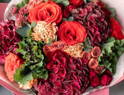 Labor’s Day Flowers and Plants and Az daily Star’s Reader’s Choice Best of Tucson!