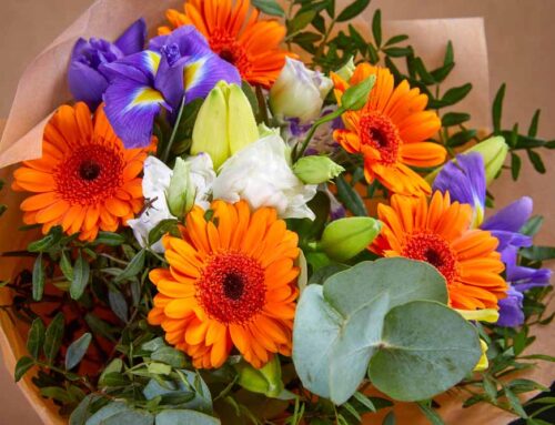 We Have the Finest Selection of Fall Themed Flower Bouquets and Arrangements!