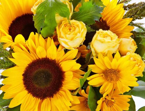 Celebrate National Daughters and Sons Day with our Fresh and Beautiful Flowers