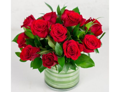 Browse Our Fresh Roses and Valentine’s Gifts Online or In Store!