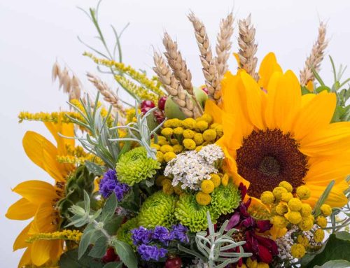 Sister’s Day Flowers and Plants That Will Make Her Smile