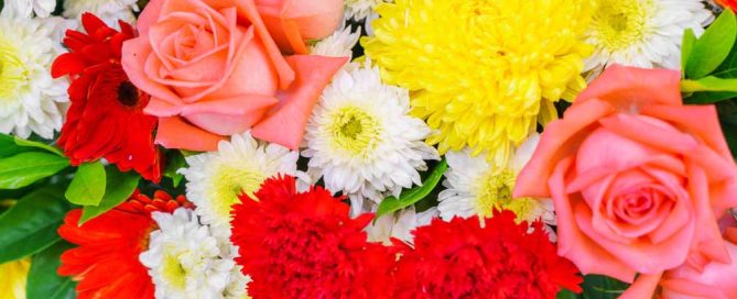 Mayfield Florist Offers Lovely Labor Day Flowers and Plants Customer Showroom, Design & Distribution Center