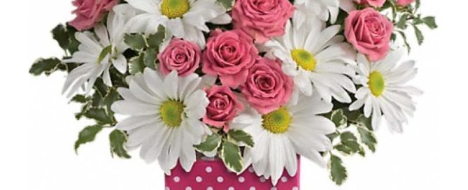 Mayfield Florist Offers Gorgeous September Birthday Flowers and Plants Voted Best Florist in Tucson