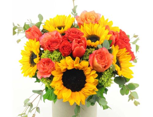 Autumn Flowers to Brighten Your Home and Heart