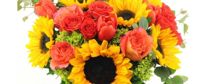 Mayfield Florist Offers Beautiful Autumn Flowers and Plants VOTED BEST FLORIST IN TUCSON 8 YEARS RUNNING