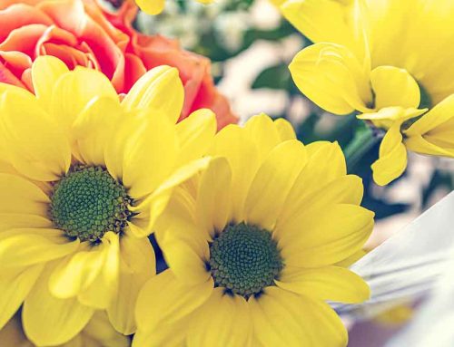 Tucson ER & Hospital Flower Delivery: Offered at Mayfield Florist