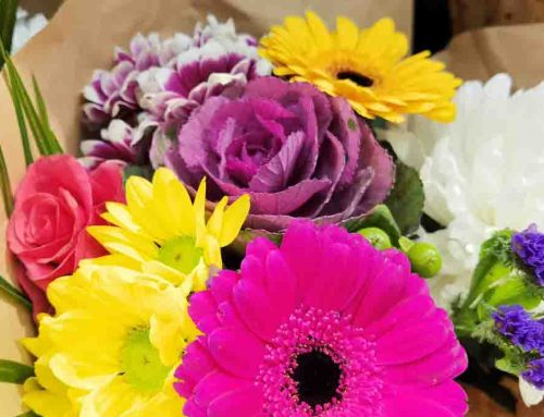 Mayfield Florist is Delighted to Provide Flower Delivery to Casa Adobes AZ