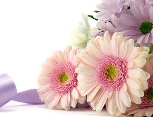 Mayfield Florist Proudly Offers Same Day Drexel Heights Arizona Flower Delivery