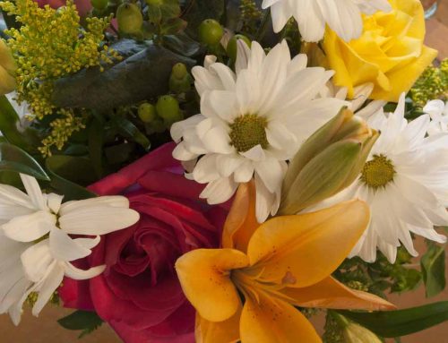 Mayfield Florist Provides Catalina Arizona Flower Delivery for Thanksgiving and Many Occasions