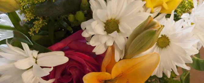 Catalina Arizona Flower Delivery for Thanksgiving and Many Occasions is Offered at Mayfield Florist