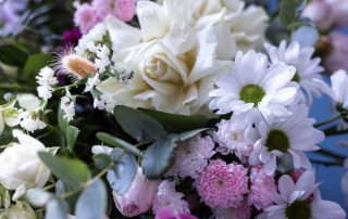 Mayfield Florist offers beautiful Winter Flowers