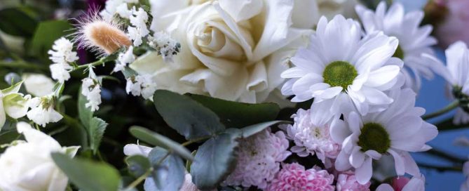 Mayfield Florist offers beautiful Winter Flowers