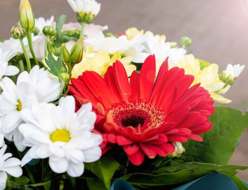 Sympathy Flowers Express Empathy and Sincere Condolences