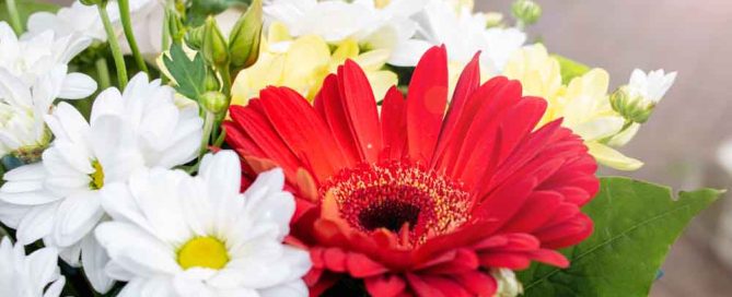 Mayfield Florist expresses condolences with heartfelt sympathy flowers