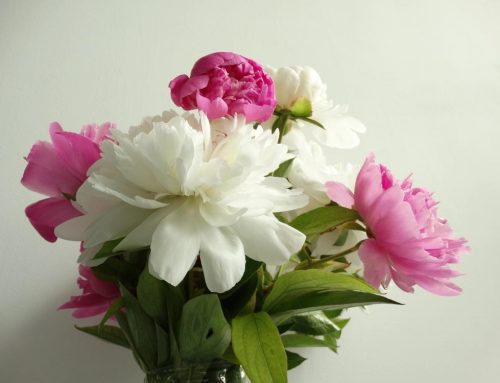 Send Mayfield Florist Holiday Host Thank You Flowers and Make a Lasting Impression