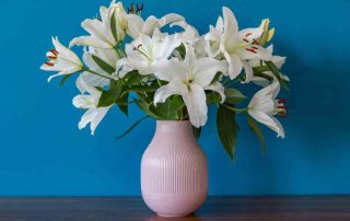 Lilies for Teacher Thank you