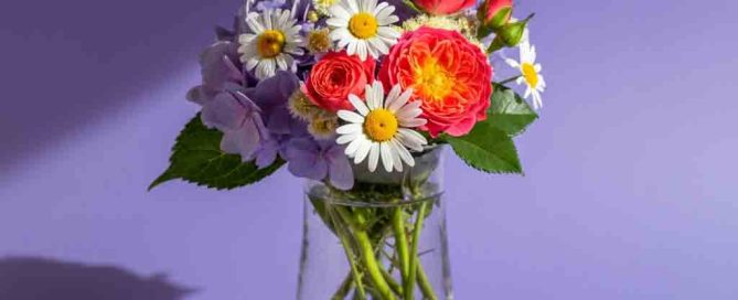 Summer Flower Arrangement of Miniature Roses Daisies and Hydrangea