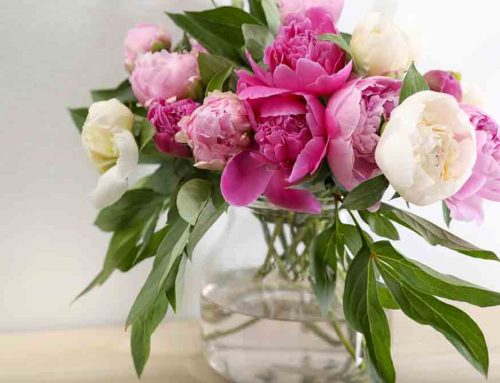 Customer Appreciation Flowers Reward Client Loyalty