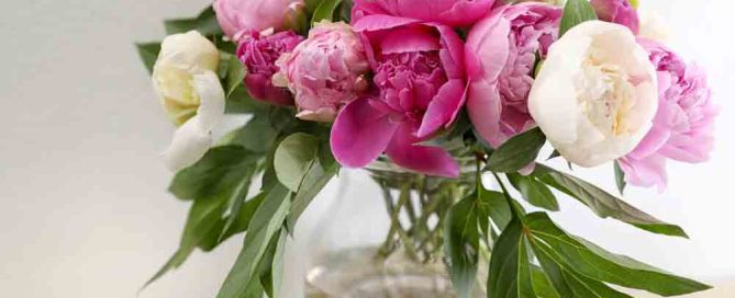 Customer Appreciation Flowers