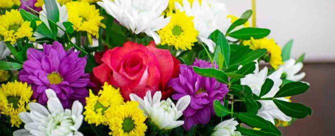Thank You Mixed Flower Bouquet
