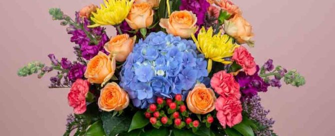 Send joy with this bright and festive arrangement featuring bright blue hydrangea, hot pink spray roses, peach carnations, giant yellow mums, statice, hypericum and multiple types of accenting greens.