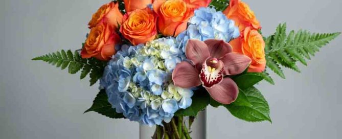 Blue Hydrangea Orange Roses and Ferns Get Well